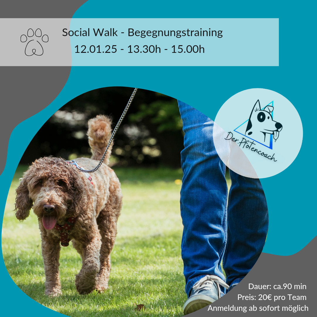 Social Walk _ Begegnungstraining_20250102_102316_0000